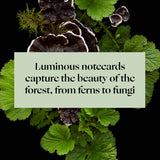 Deep Dark Forest Notes