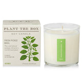 Kobo Plant the Box Candle
