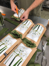 Garden in a Bag Paperwhites