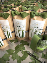 Garden in a Bag Paperwhites