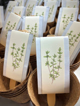 NEW Culinary Herb Garden Box
