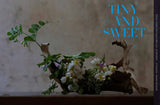 Punk Ikebana: Reimagining the Art of Floral Design