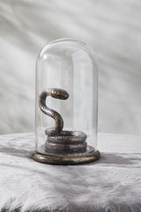 Adder Snake Cloche