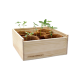 NEW Culinary Herb Garden Box