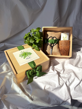 NEW Culinary Herb Garden Box