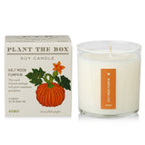Kobo Plant the Box Candle