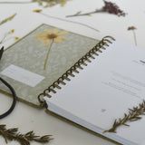 Fern Herbarium Journal