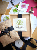 NEW Bonsai Forest Box