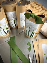 Garden in a Bag Paperwhites