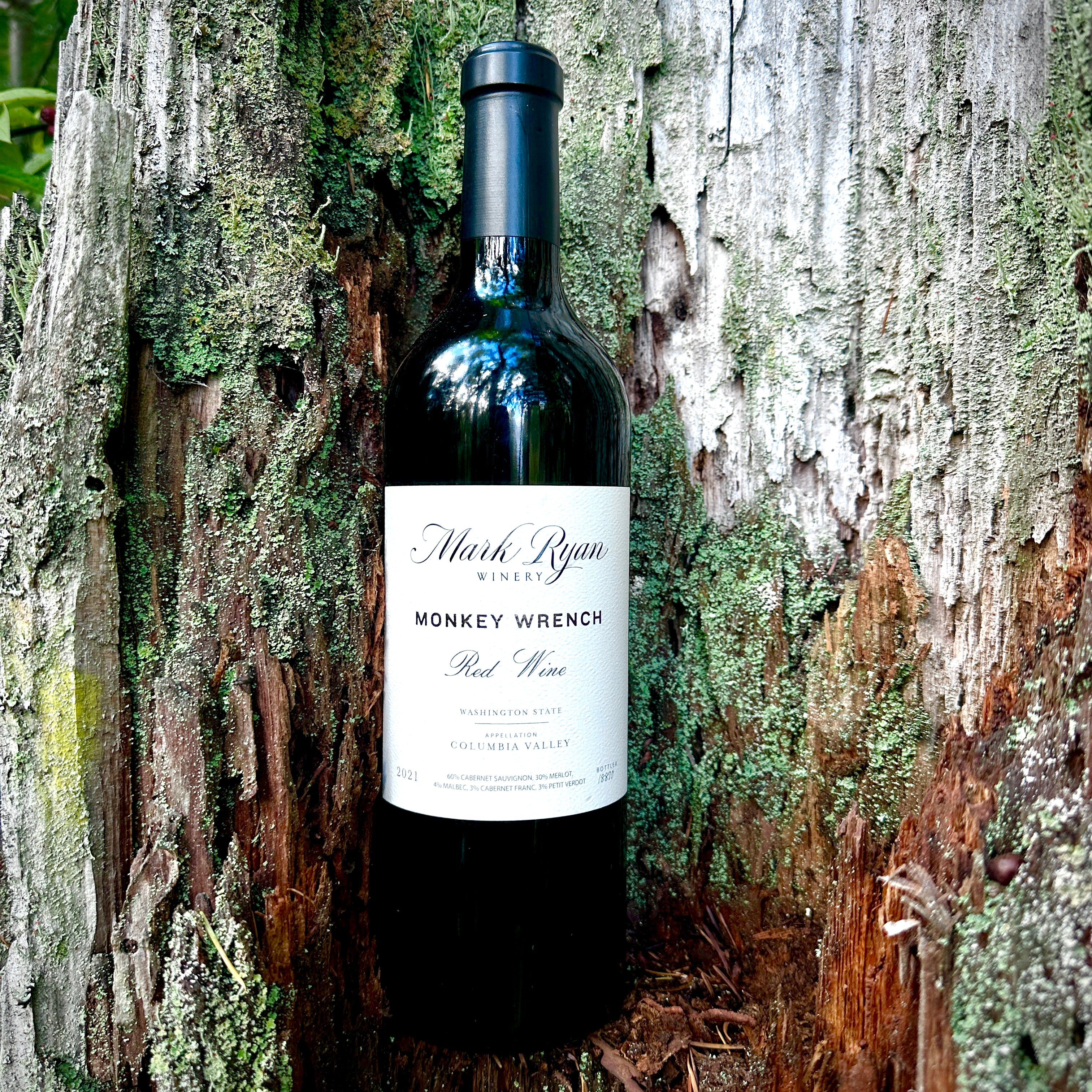 レアMark Ryden: BLOOD マークライデン Mark Ryden Blood Special Edition 限定500部