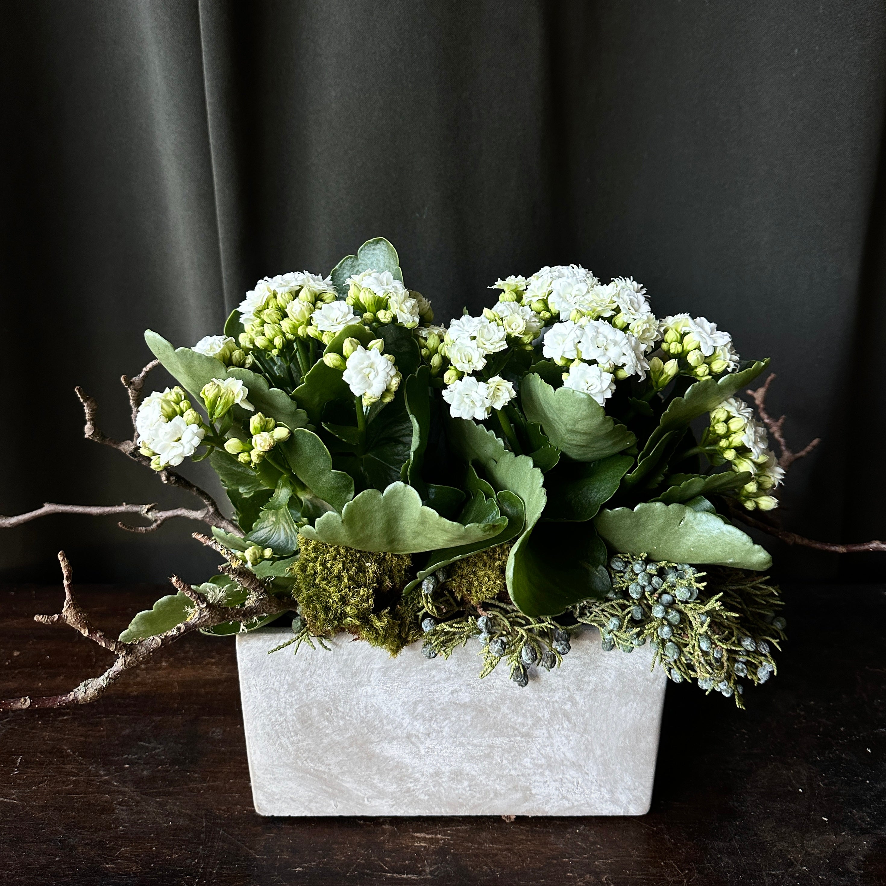 Kalanchoe & Juniper Centerpiece Terra Bella Flowers