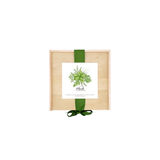 NEW Culinary Herb Garden Box