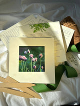NEW Culinary Herb Garden Box