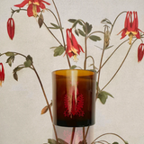 Garden Stories Candle