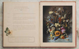 Flowers of Provence by Jamie Beck