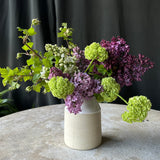 Rebecca Madonna Pottery