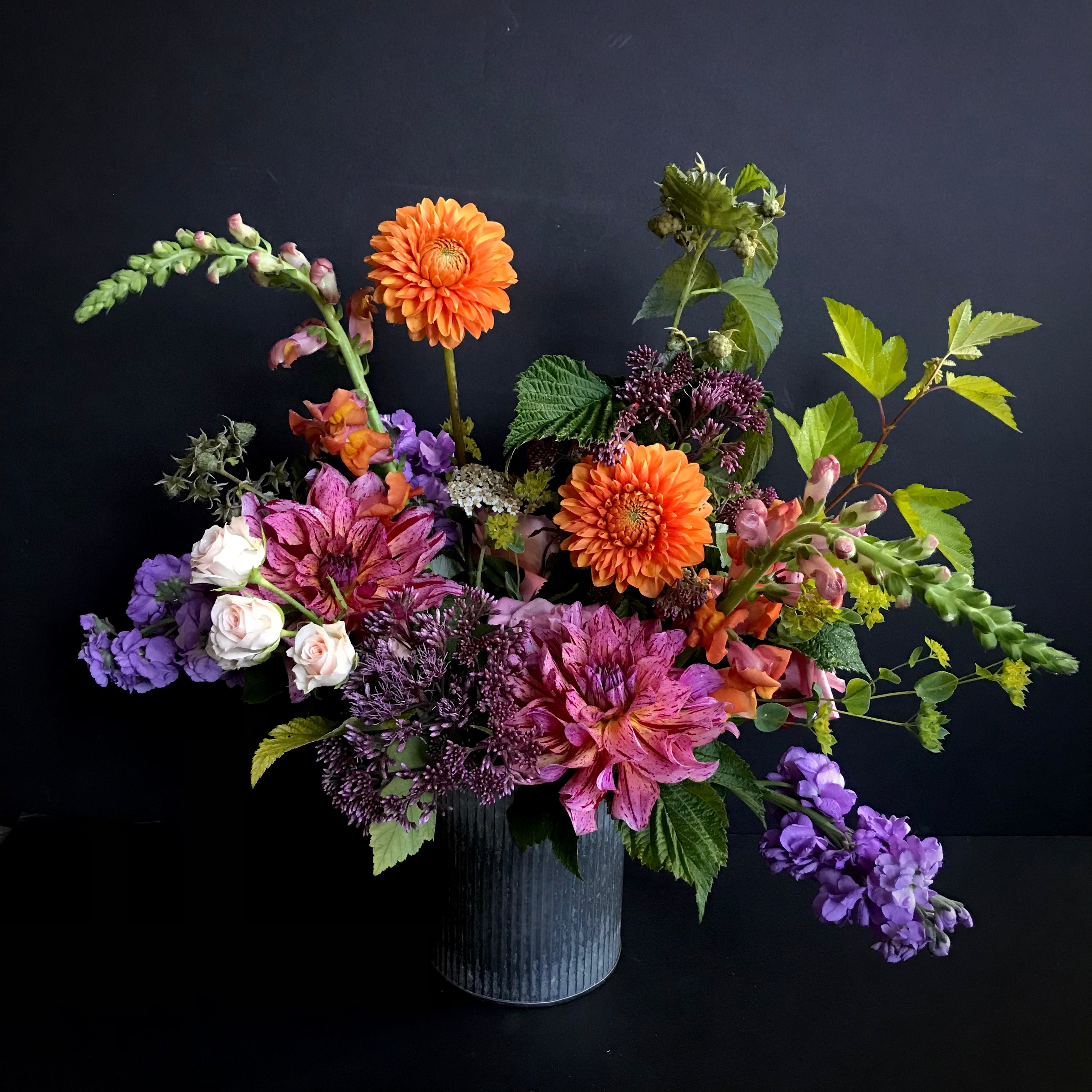 The Gardener Terra Bella Flowers