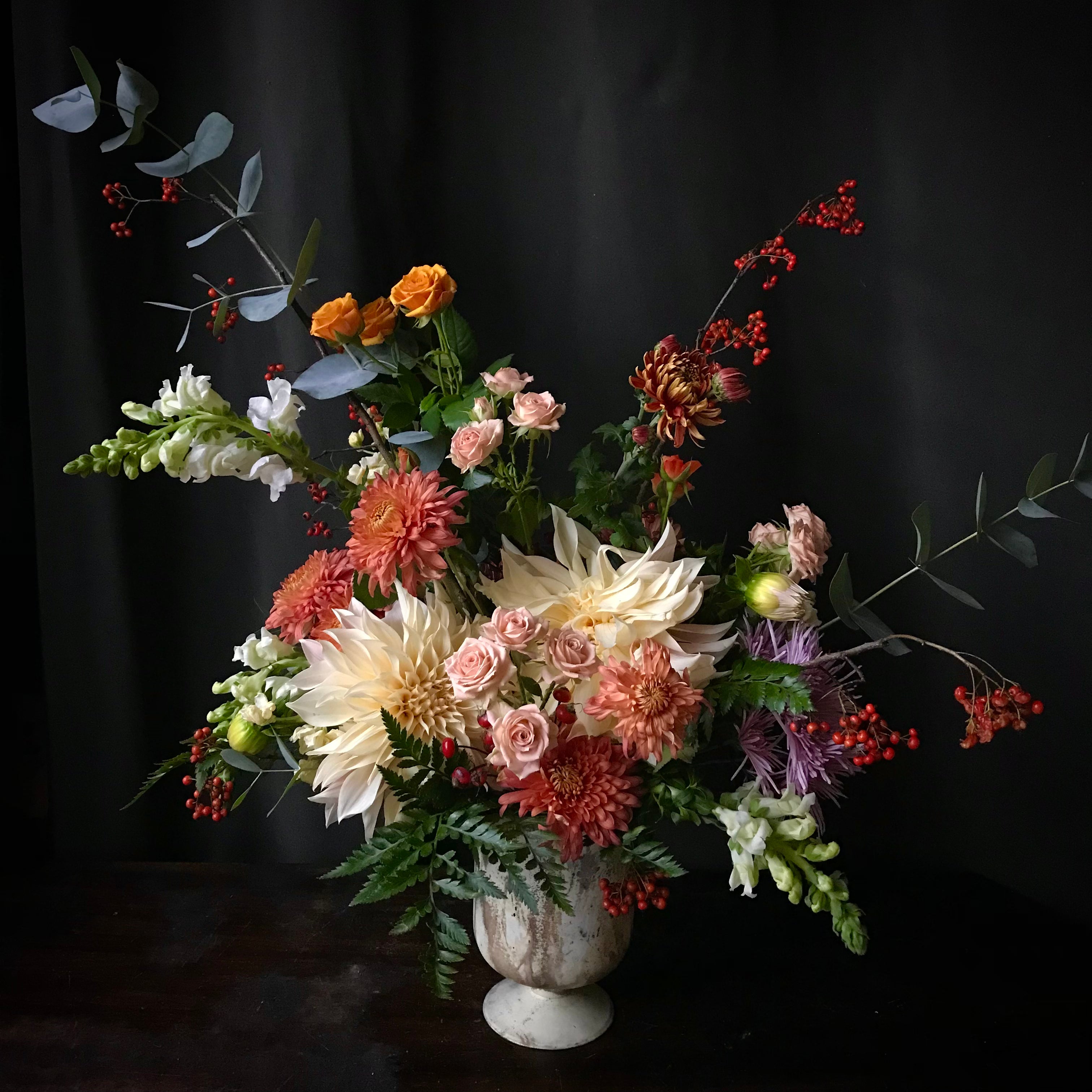 Dutch Masters Terra Bella Flowers