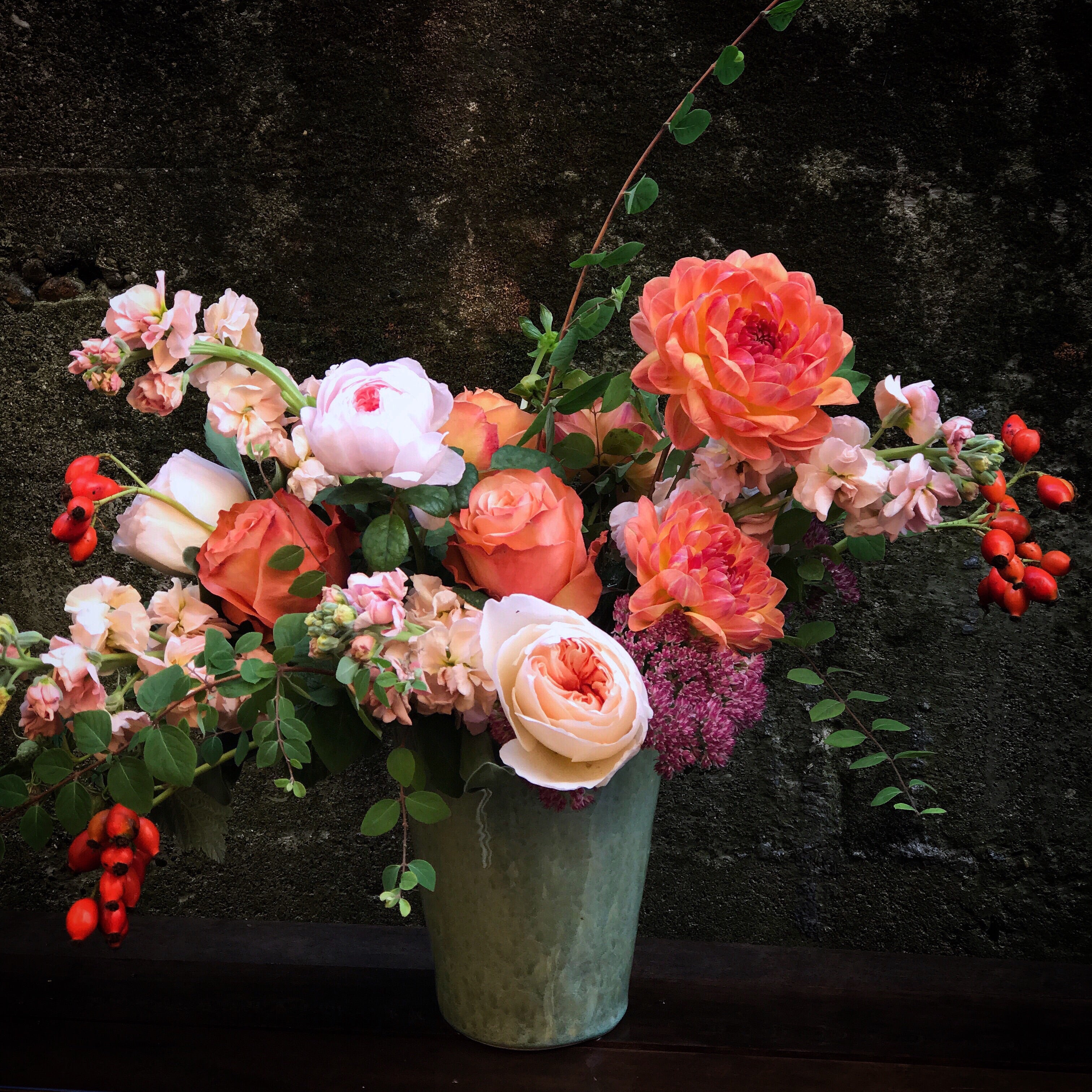 Coraline Terra Bella Flowers