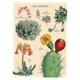 Cavallini & Co Wrapping and Poster Paper