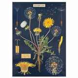 Cavallini & Co Wrapping and Poster Paper