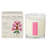 Kobo Plant the Box Candle