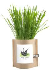 Garden in a Bag Dog Grass