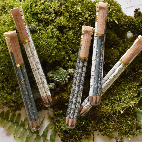 Garden Mix Pencil Terrarium