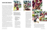 Propagation Handbook by Hilton Carter