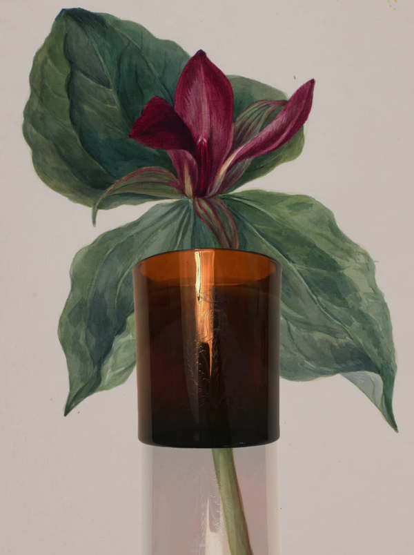 Moody Blooms Candle