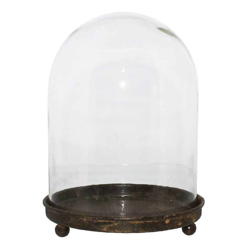 Glass Terrarium
