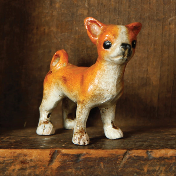Nacho the Chihuahua