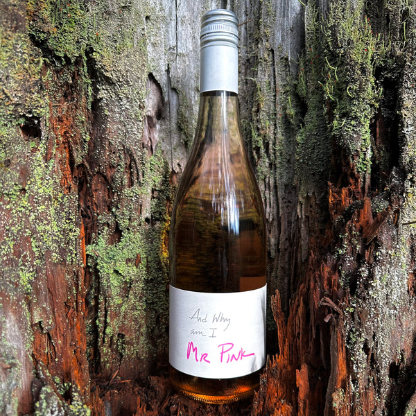 Mr. Pink Rosé 2022 | Mark Ryan Winery