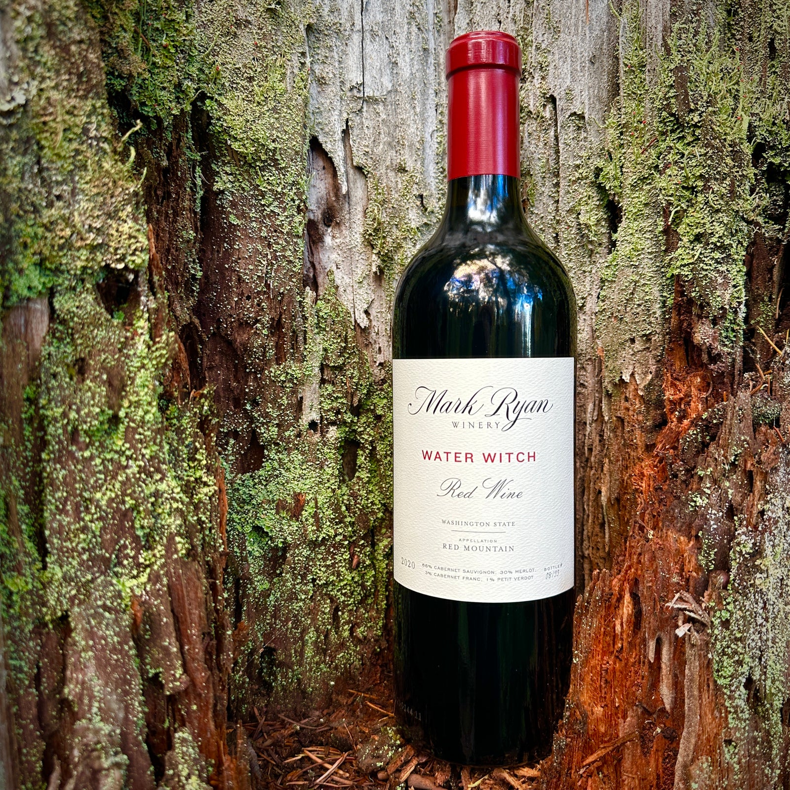 Order 2021 Water Witch | Red Mountain Mark Ryan Wine
