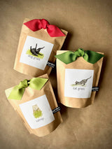 Garden in a Bag Dog Grass