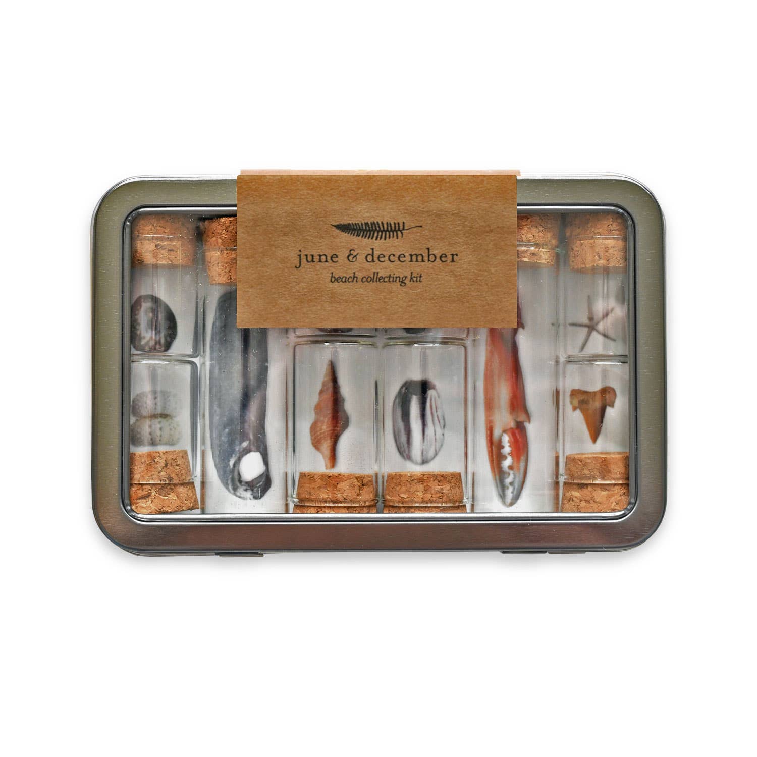 Beach Collecting Kit | Seashell & Nature Collector Tin