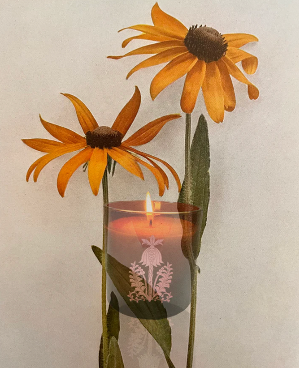 Orchard Sun Candle