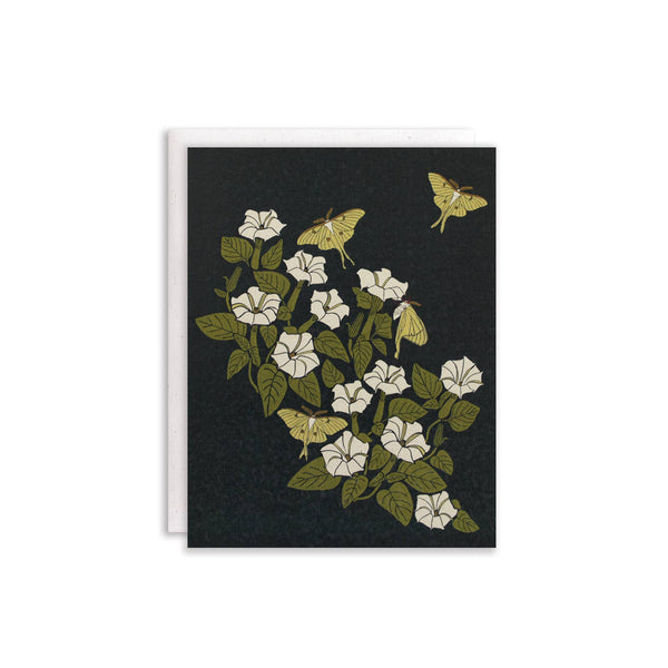Luna Moon + Moth Card Set