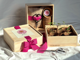 NEW Culinary Herb Garden Box