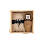 NEW Bonsai Forest Box