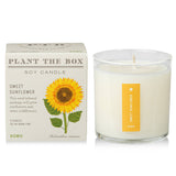 Kobo Plant the Box Candle