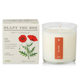 Kobo Plant the Box Candle