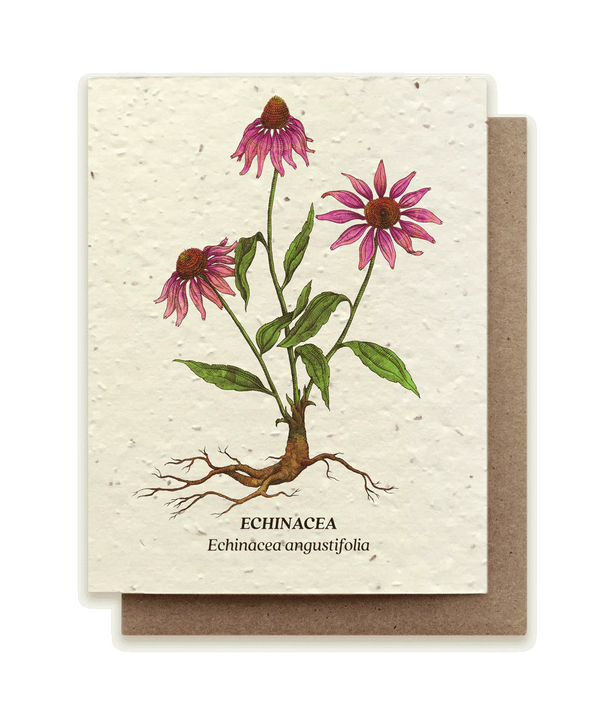 Seeded  Card