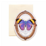 Moth and Myth