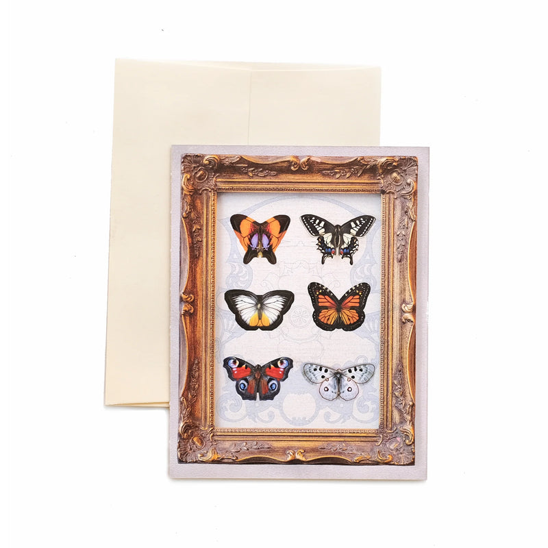 Moth and Myth