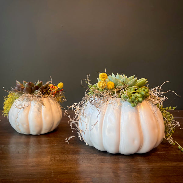 Pumpkin Planter