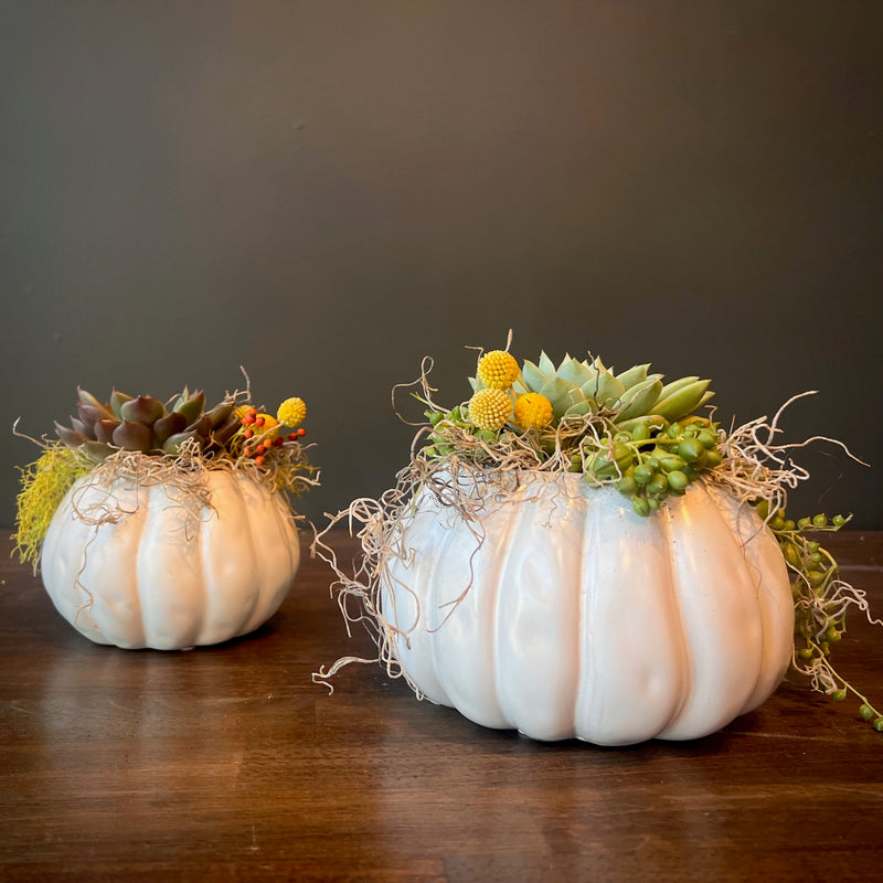 Pumpkin Planter