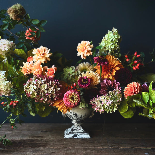 Dahlias and zinnias for floral design flower workshop