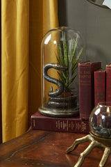 Adder Snake Cloche