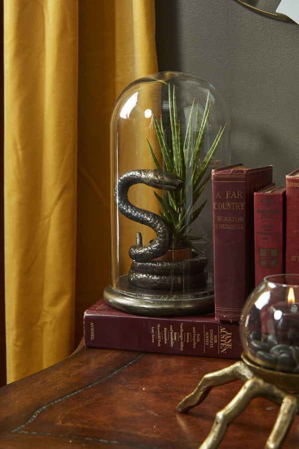 Adder Snake Cloche